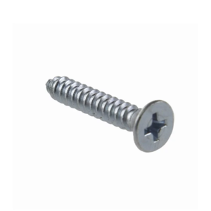 Imagem do produto PARAF 6X10MM PHILIPS C/CHATA