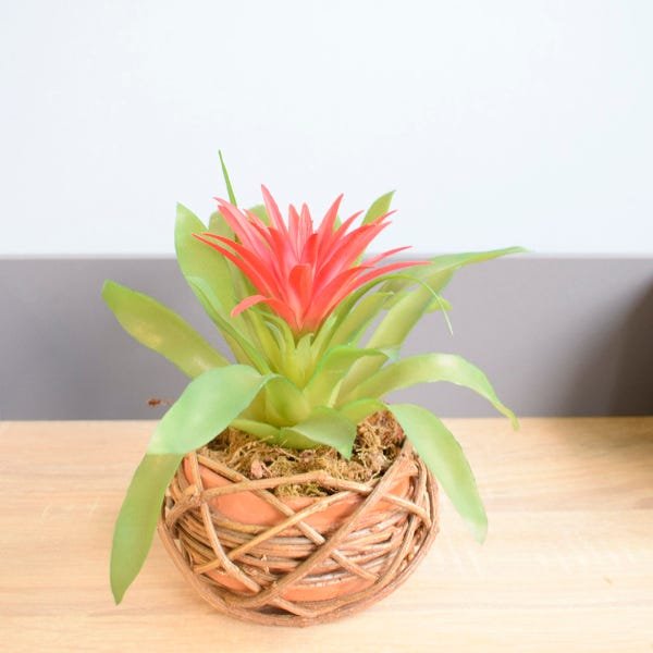 Imagem do produto BROMELIA VERM 34CM 35703001 FLORARTE