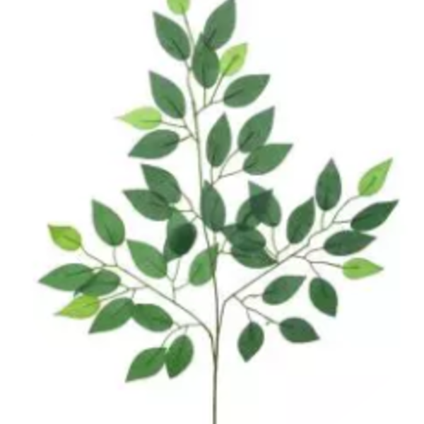 Imagem do produto FICUS X42 VERDE 2T 63CM FLORARTE