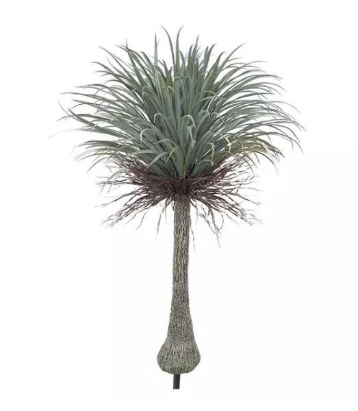 Imagem do produto YUCCA X203 VERDE 1,5M FLORARTE