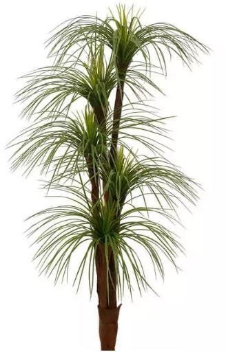 Imagem do produto YUCCA X5 VERDE 1,7M FLORARTE