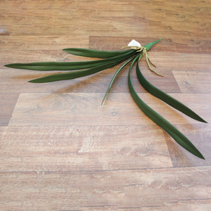 Imagem do produto FOLHA ORQUIDEA CYMBIDIUM X6 VD 90CM 26685-001 FLOR ARTE