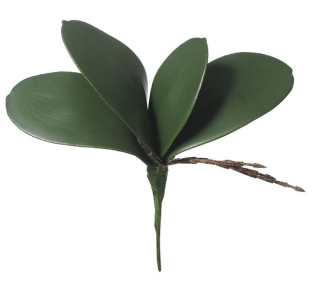 Imagem do produto FOLHA ORQUIDEA X4 VD 20CM 26120001 FLOR ARTE