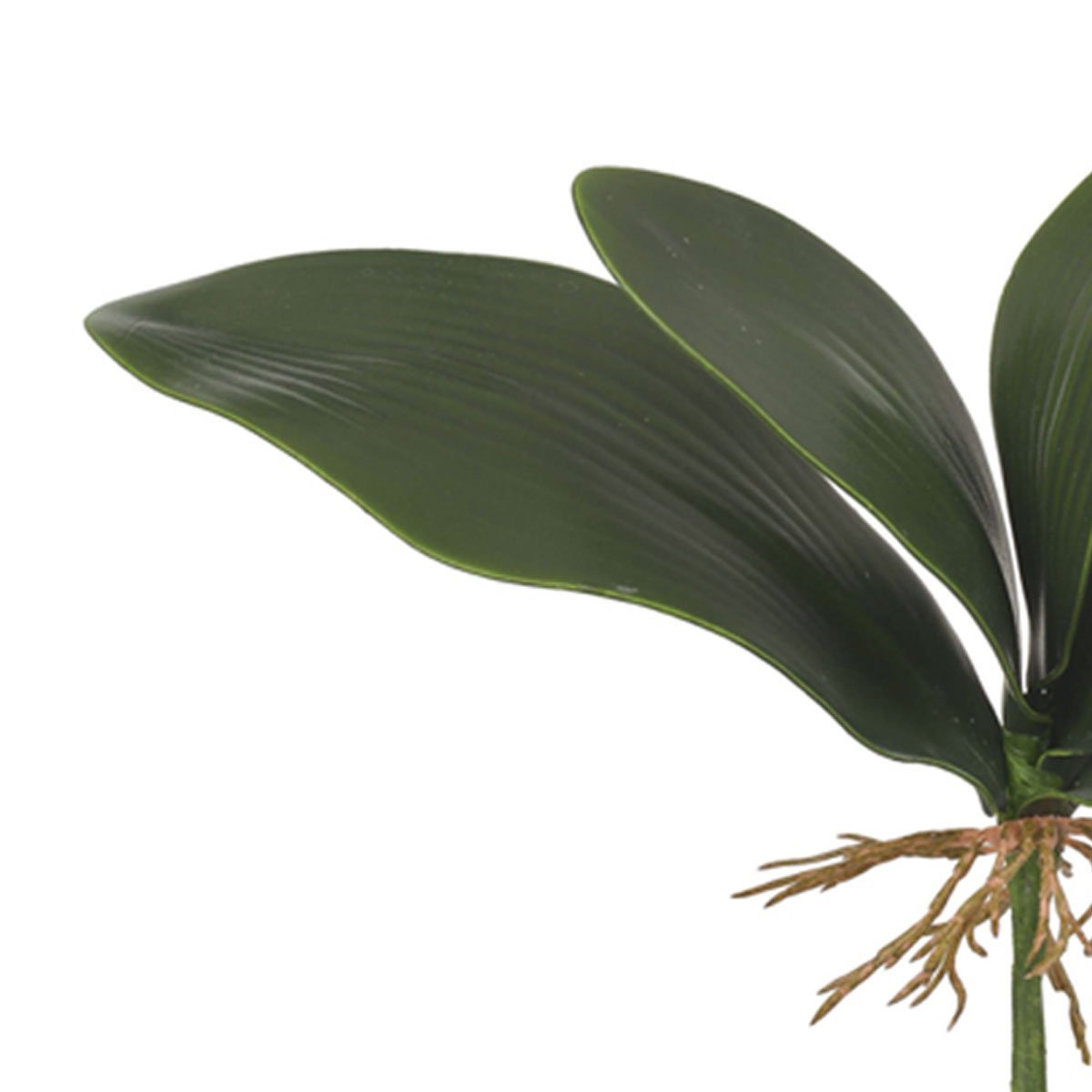 Imagem do produto FOLHA ORQUIDEA X5 VD 26CM 41713001 FLOR ARTE