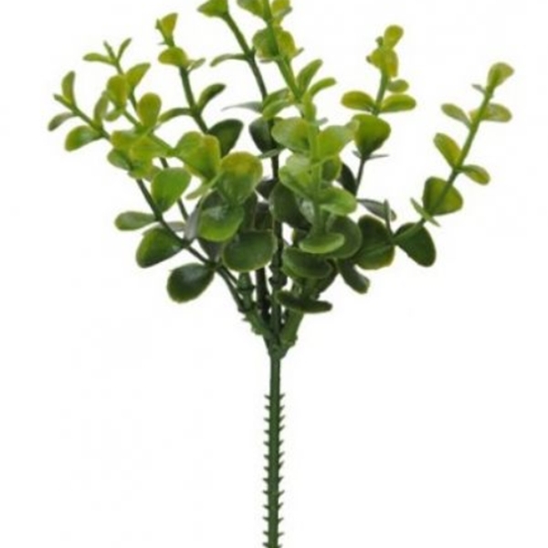 Imagem do produto PICK EUCALIPTO PLT. VD 2T 23CM 08770-002 FLOR ARTE