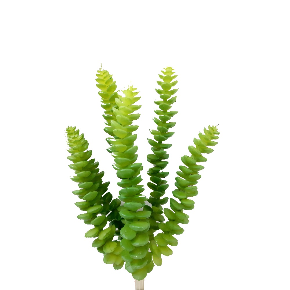 Imagem do produto SUCULENTA PLT. X6 VERDE 21CM FLOR ARTE