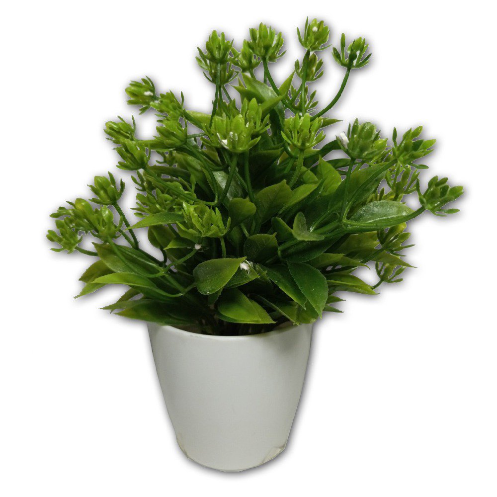 Imagem do produto SUCULENTA VD CLARO 19CM 35176-003 FLOR ARTE