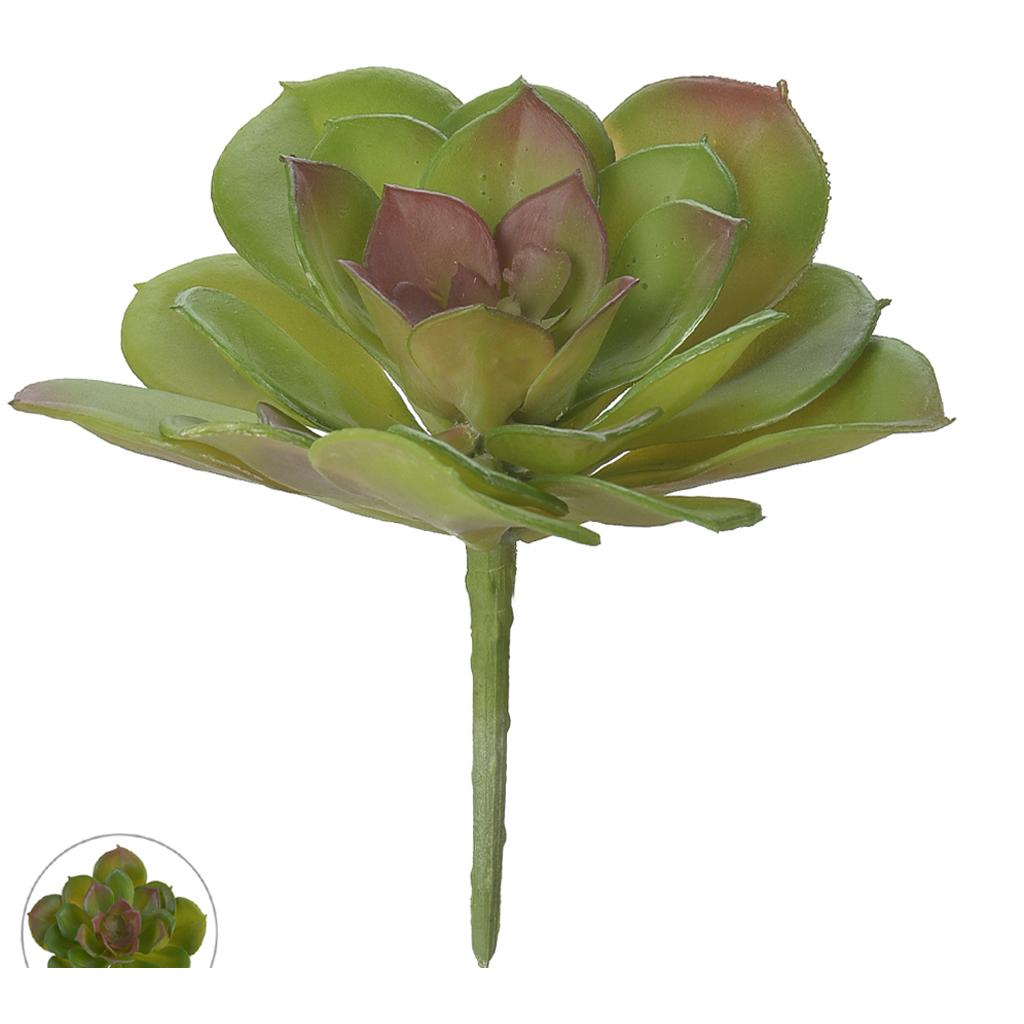 Imagem do produto SUCULENTA VERDE VERMELHO 10CM 35031-002 FLOR ARTE