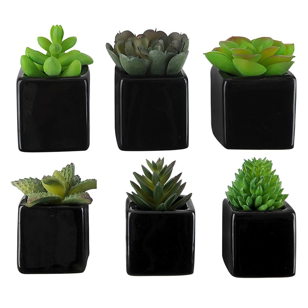 Imagem do produto SUCULENTA X5 VERDE VERMELHO 18CM 37431-002 FLOR ARTE