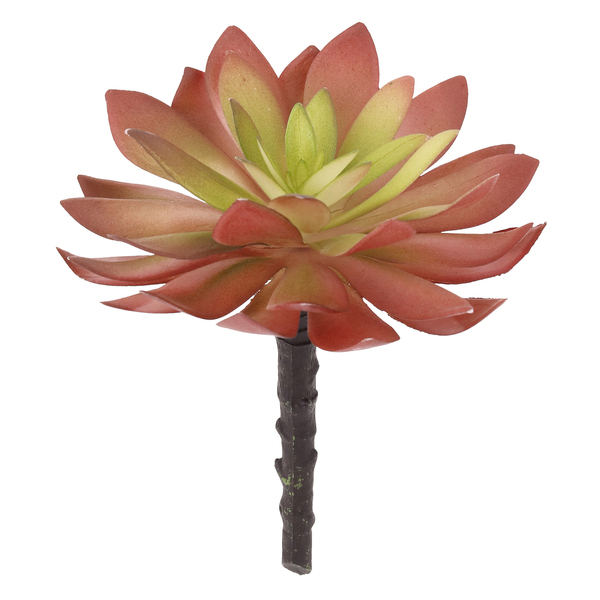 Imagem do produto SUCULENTA X5 VERMELHO OUTONO 37431-001 18CM FLOR ARTE