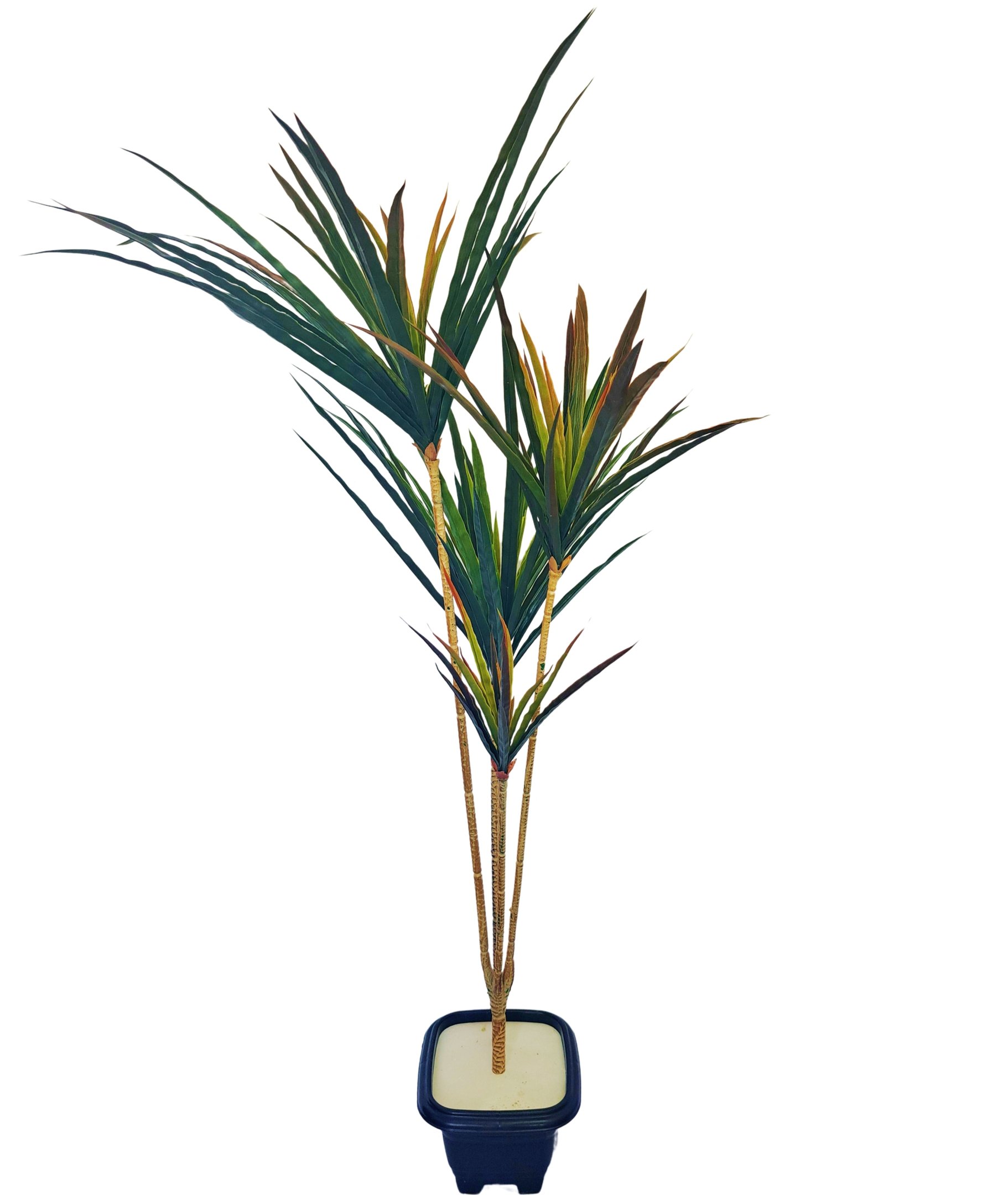 Imagem do produto YUCCA PLT. X132 VD 1,45M 31831001 FLOR ARTE