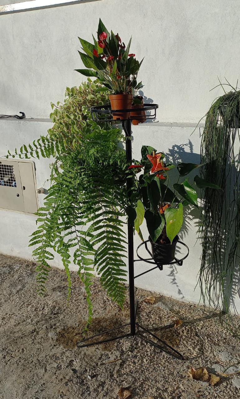 Imagem do produto FOLHAGEM SAMAMBAIA C/ SUPORTE REAL TOQUE VD