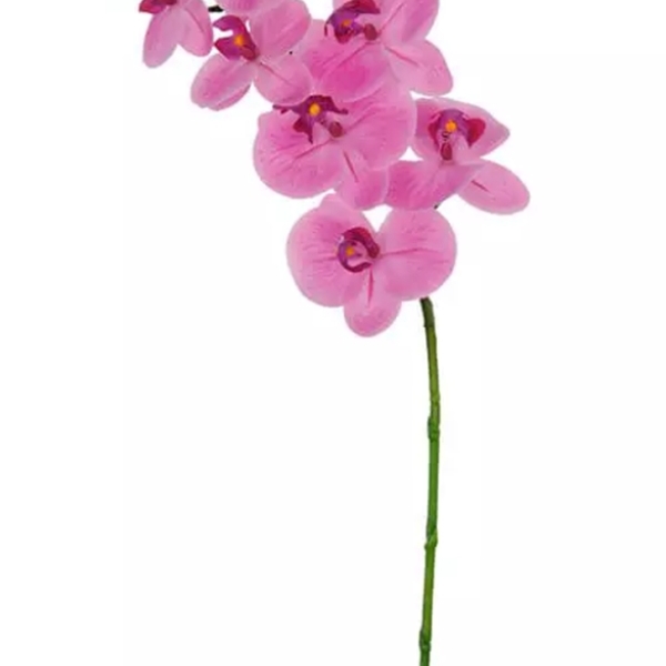 Imagem do produto ORQUIDEA PHALA REAL TOQUE C/COAT X6 BR 70CM 31525-005 FLORAR