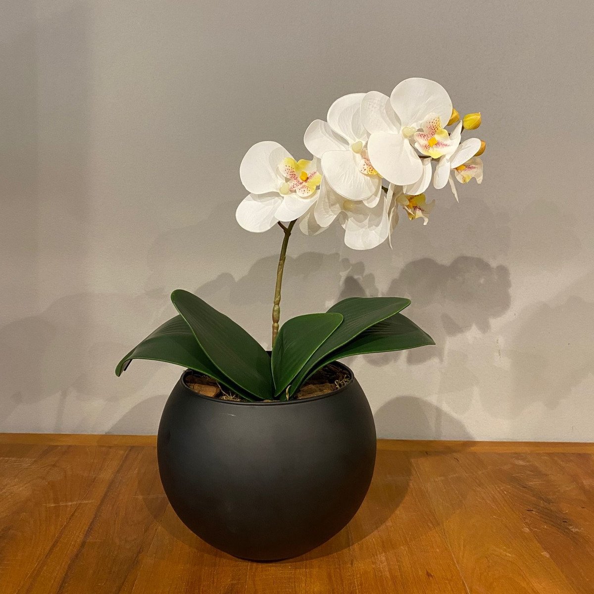 Imagem do produto ORQUIDEA PHALAENOPSIS REAL TOQUE C/VASO X5 BR 25CM