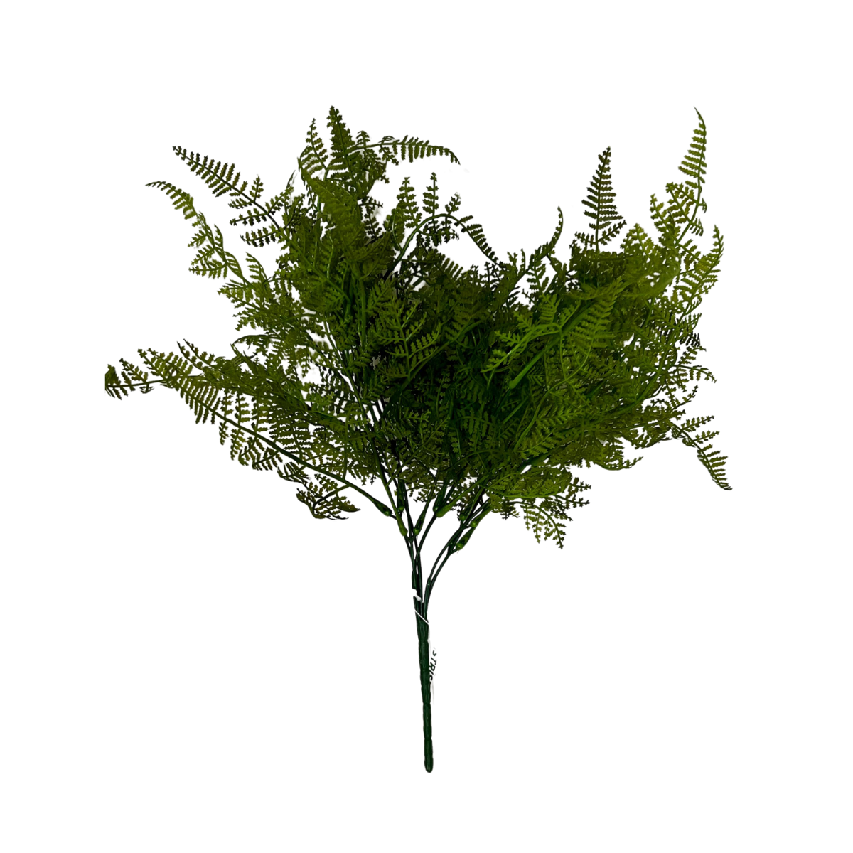 Imagem do produto SAMAMBAIA X13 TOQUE REAL VD 46462-004