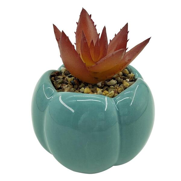 Imagem do produto SUCULENTA REAL AZUL 42990-001