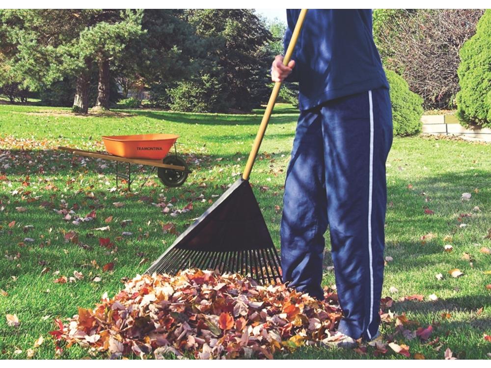 Imagem do produto VASSOURA RUBI 25CM VASSOURAS BRASIL 3