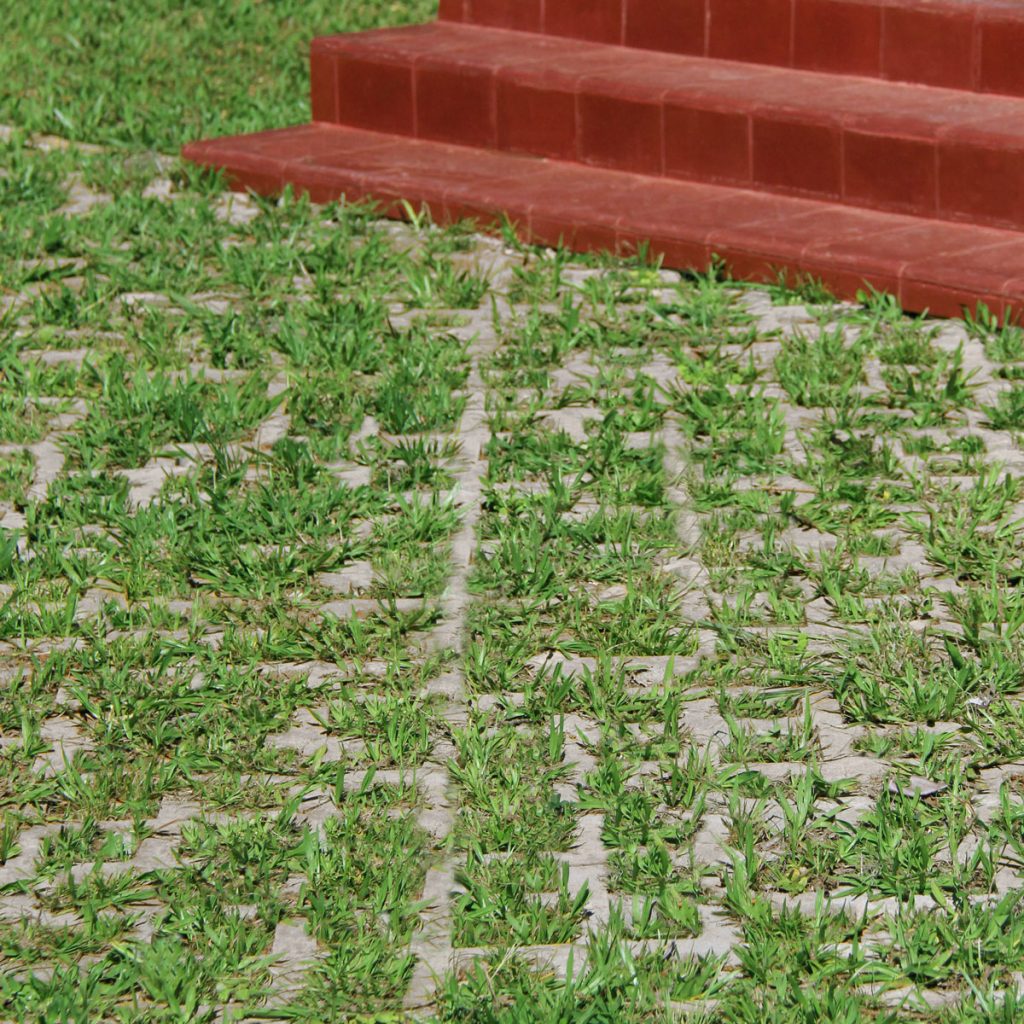 Imagem do produto PISOGRAMA 17X35X6 IAC BLOCOS