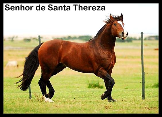 Imagem do produto OLHO MAÁGICO LATAO CR REF 908 SANTA THEREZA