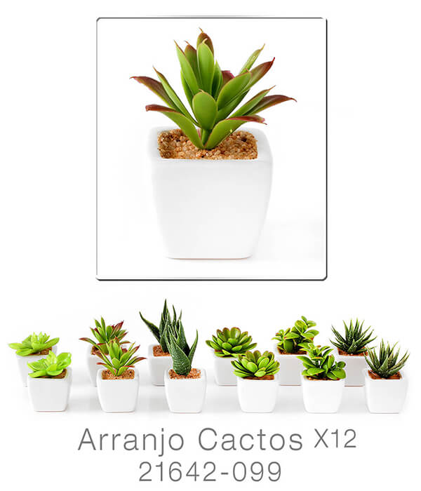 Imagem do produto ARRANJO CACTOS X12 21642-099 GRILLO