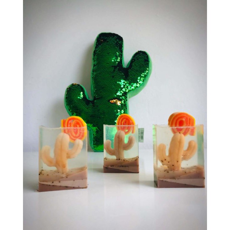 Imagem do produto ESSENCIA 100ML AGRESTE EC SHERON