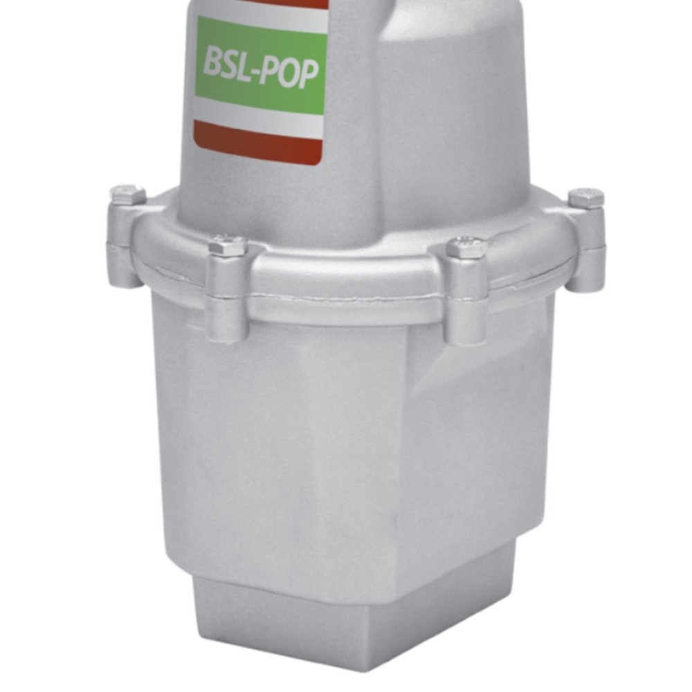 Imagem do produto BOMBA SUBMERSA BSL-POP 254V LORENZETTI