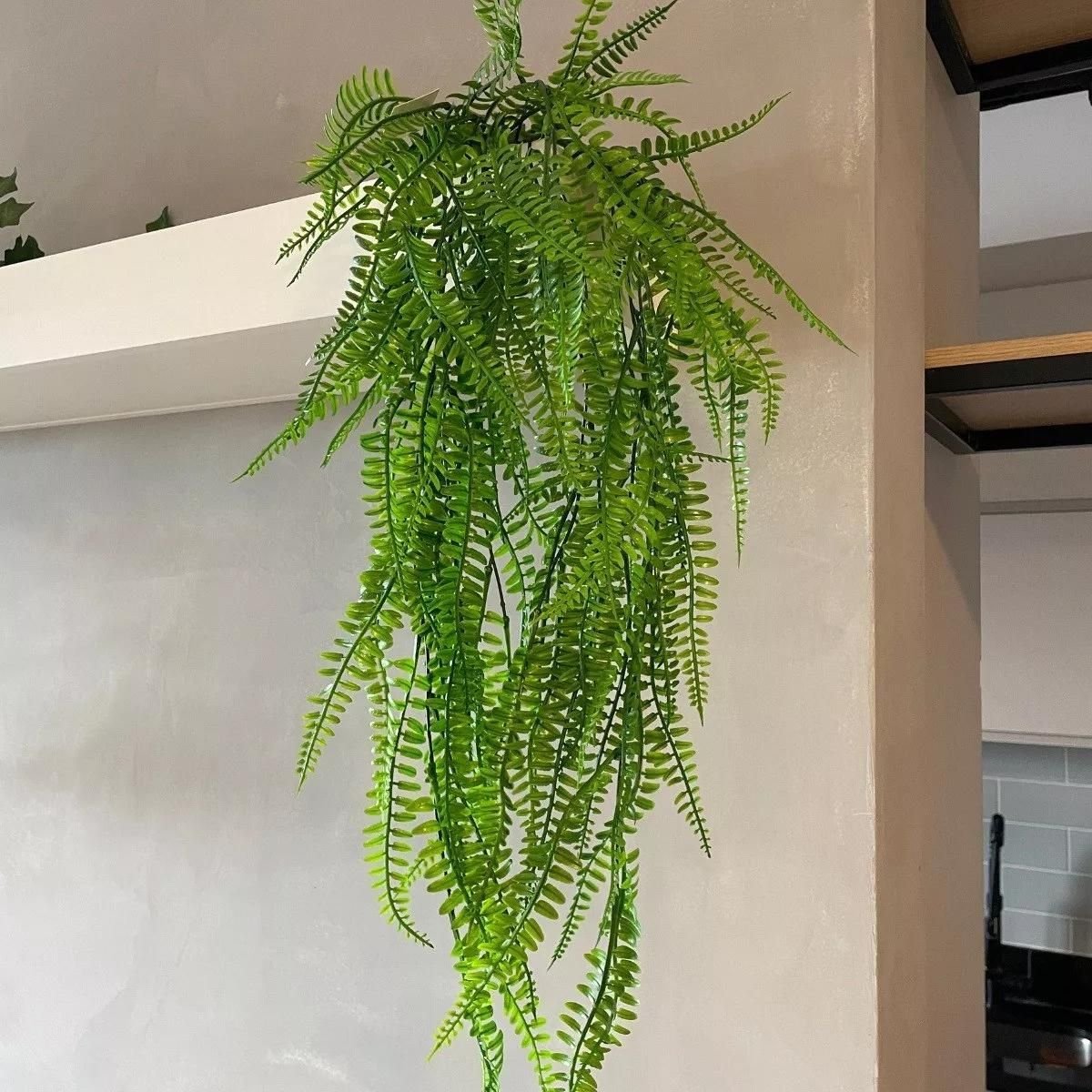 Imagem do produto FOLHAGEM PENDENTE SAMAMBAIA REAL TOQUE VD