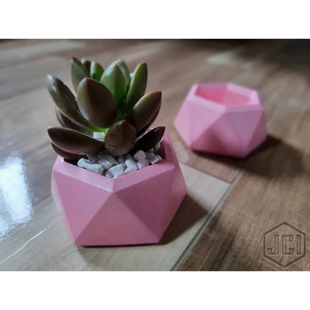 Imagem do produto VASINHO SUCULENTAS