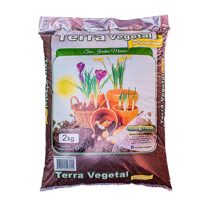 Imagem do produto TERRA VEGETAL SC 22 KG VIVA O VERDE